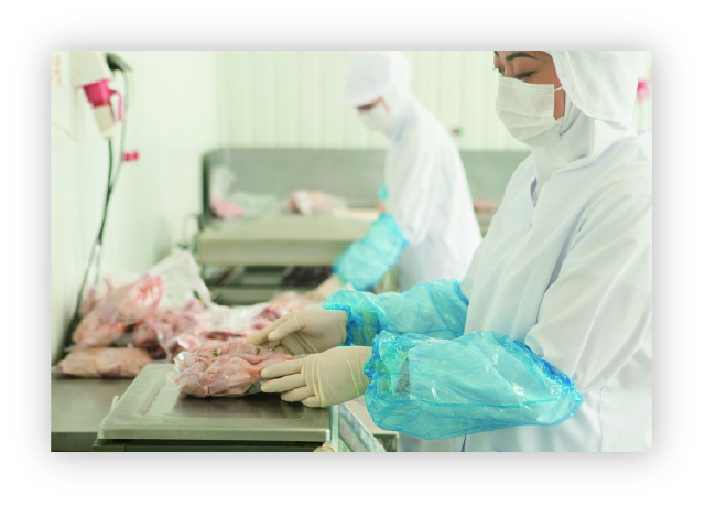食品加工工場での新型コロナウイルス等のウイルス感染、除菌対策に。